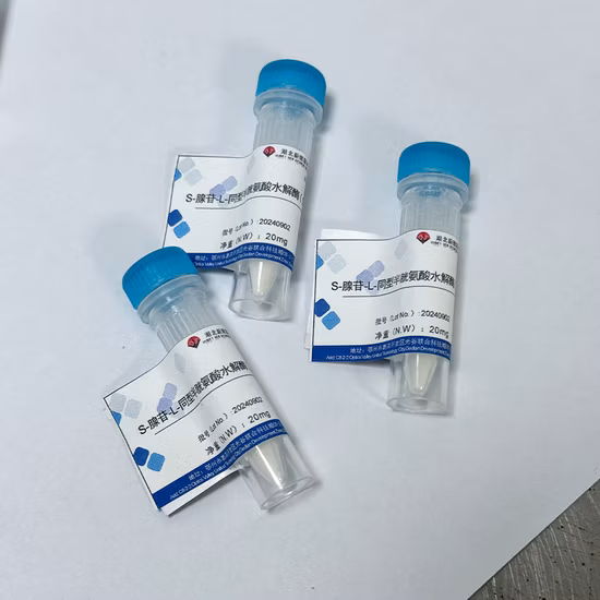 Enzyme Preparations S